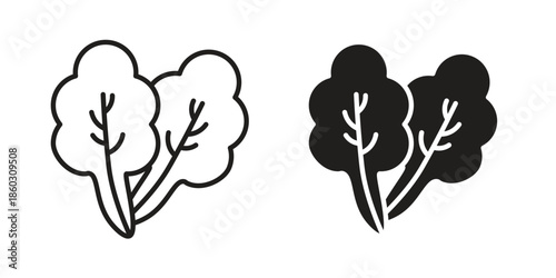 Lettuce icons. glyph icon vector on white background. Flat and line vector