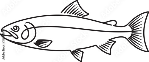 One single line drawing of big salmon for logo identity. Large lake fish mascot concept for fishing tournament icon. Continuous line draw design. one line Icon drawing