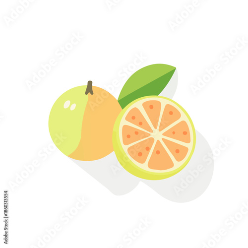 modern element in vector and EPS format clean vector isolated on a white background, An Icon clipart set, An Imaginary 2D flat icon whole guava