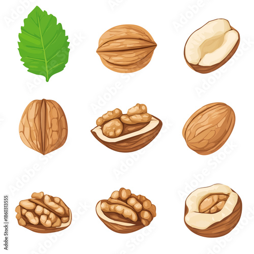 modern element in vector and EPS format, clean vector isolated on a white background, An Icon clipart set, An Imaginary 2D flat icon walnuts set