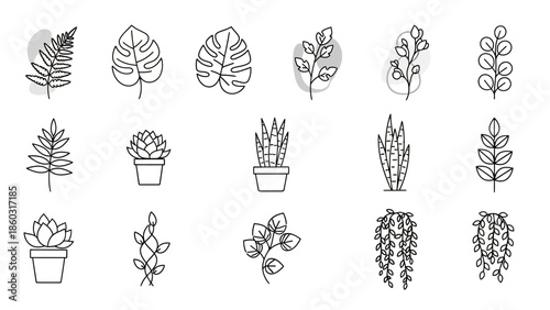 Series of hand-drawn potted plants and leafy branches in monochrome line art style.