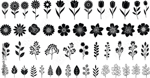 Flower and plant silhouette collection set, black floral icon, tulip rose daisy leaf nature design, isolated vector illustration, cad drawing flat vector illustration.
