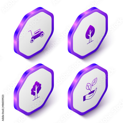 Set Isometric Lawn mower, Tree, and Leaf in hand icon. Purple hexagon button. Vector