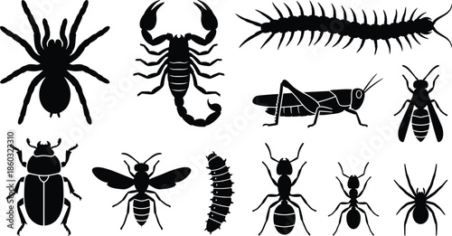 Black Insect and Arachnid Silhouette Vector Set on White Background