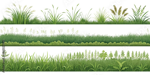Variety of lush green grass and plants for landscaping and design