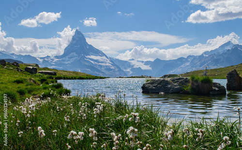 View of the Matterhorn trough Cottongrass, Eriophorum
