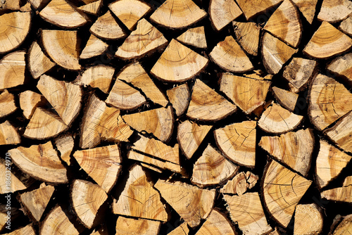 薪（firewood）