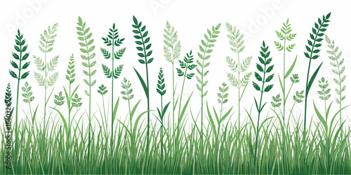 Vibrant green grass and plants on white background