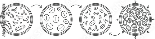 Vector Icon Set Featuring Petri Dishes Showing Sequential Stages of Bacterial Growth Microbiological Culture and Scientific Laboratory Research