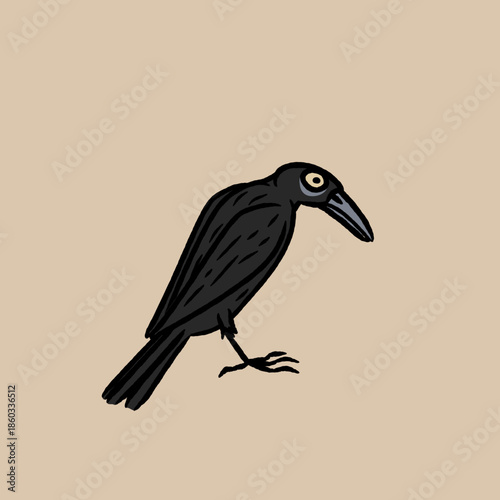 Rook, Raven, Jackdaw, Chough, Magpie, Jay, Nutcracker, Treepie, Piapiac, Crow-billed Drongo