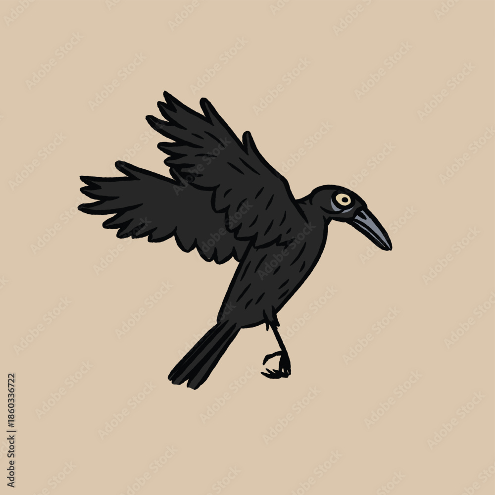 Obraz premium Rook, Raven, Jackdaw, Chough, Magpie, Jay, Nutcracker, Treepie, Piapiac, Crow-billed Drongo