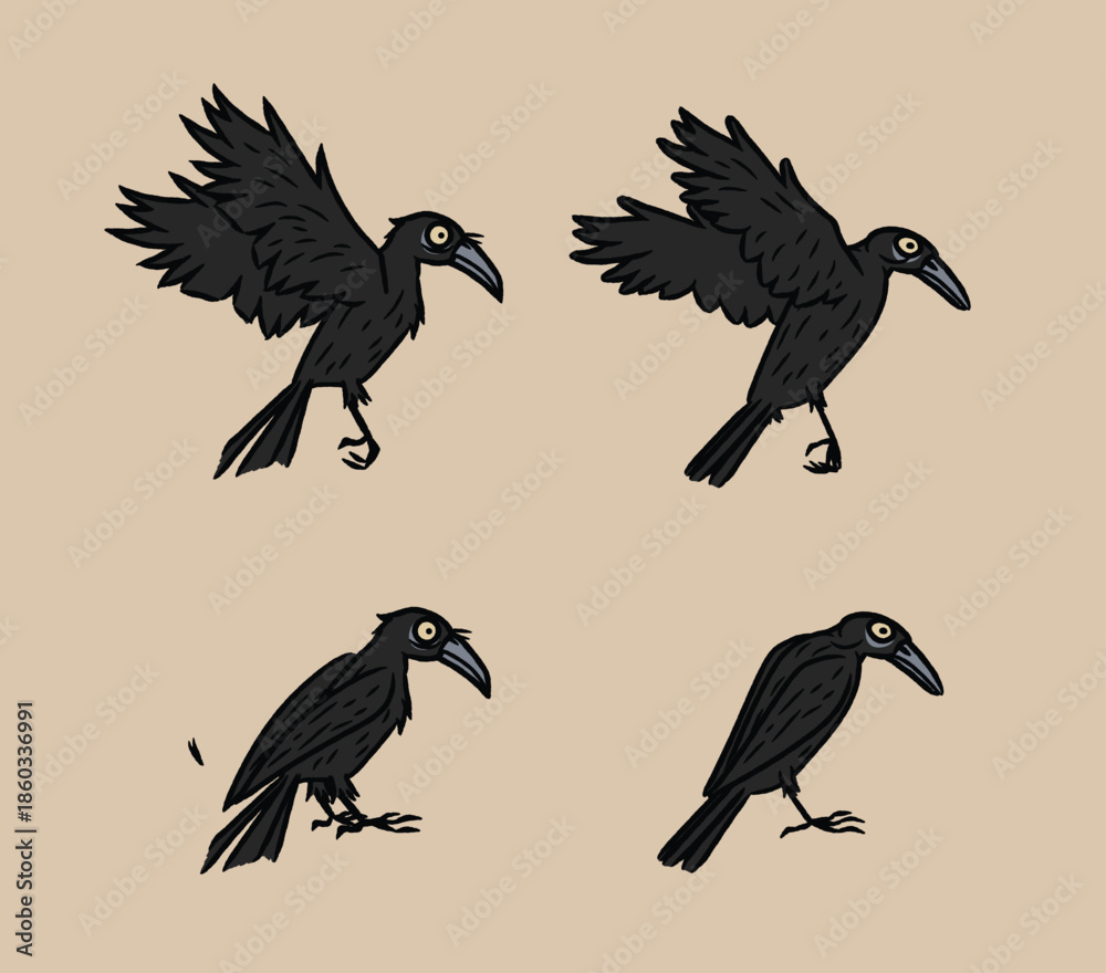 Obraz premium Rook, Raven, Jackdaw, Chough, Magpie, Jay, Nutcracker, Treepie, Piapiac, Crow-billed Drongo