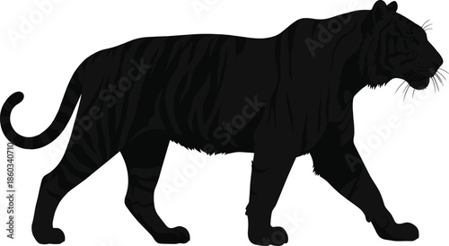 Silhouette of black tiger walking in profile view, rare wildlife illustration, powerful animal pose, nature predator concept, striped feline design for creative stock use