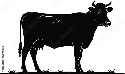 Silhouette of cow standing on grass, black and white farm animal illustration, rural livestock concept, nature agriculture design, peaceful countryside scene for stock use