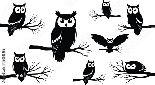 Set of black owl silhouettes sitting on tree branches, vector illustration collection isolated on white background for Halloween nature design