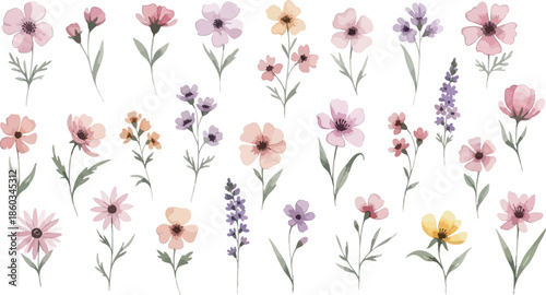 Beautiful collection of delicate watercolor wildflower stems with pink purple and yellow blossoms on a white background