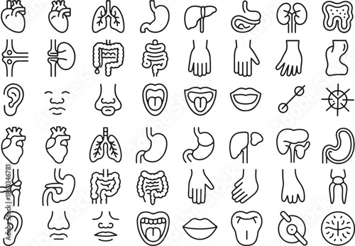 Outline Human Organ and Body Part Icons Collection