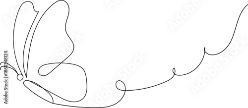 vector illustration of an butterfly line art