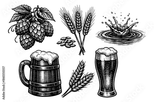 Vintage beer and barley elements with hops and malt splash in black and white
