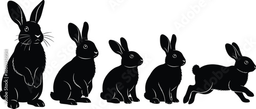 Rabbit silhouettes set showing different poses and movement, cute bunny collection, wildlife and pet concept, black vector illustration design