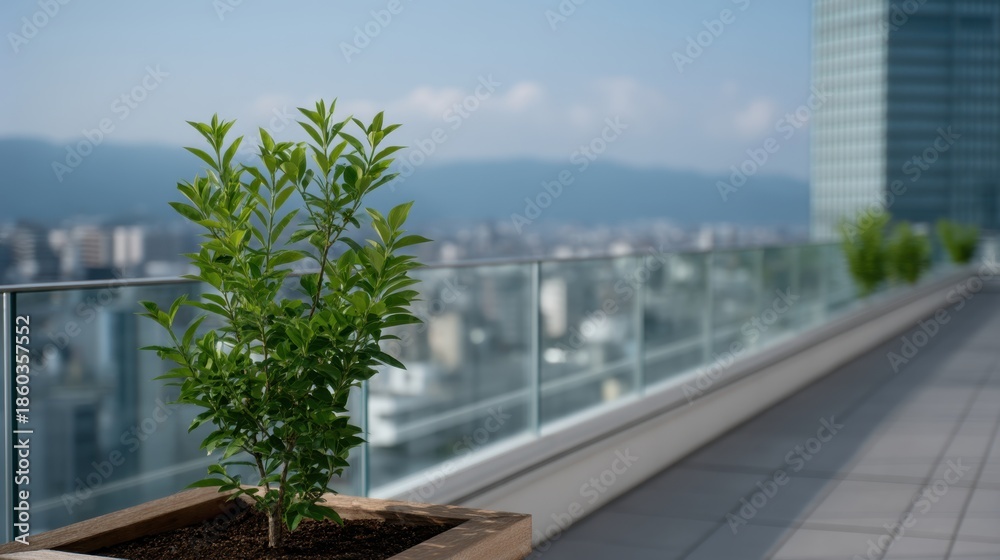 Fototapeta premium Young Trees Sprouting in a Modern Rooftop Garden with a Cityscape Background