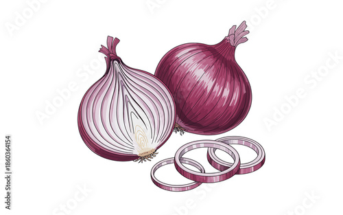 Red Onion Illustration