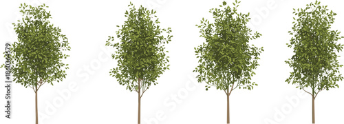 Realistic deciduous tree set illustration with detailed green foliage, isolated on white background, natural forest and park vegetation vector design