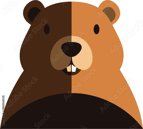 Cute brown bear with contrasting colors on white background