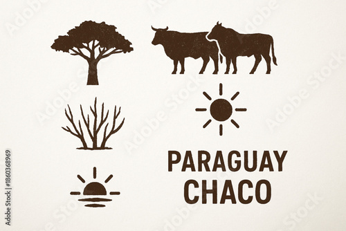 Paraguay Chaco region vector icons rugged flat style
