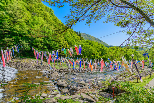 春 宮城　七ヶ宿鯉のぼり
