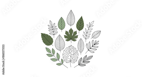 Decorative assortment of various green and outline leaves, arranged artistically, representing natural beauty and botanical diversity.