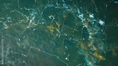 Emerald green marble texture background, luxury dark stone surface with white veins, elegant polished granite material for interior design