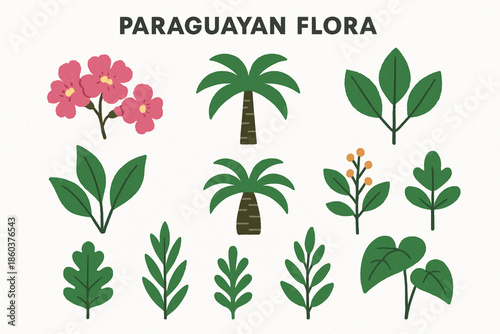 Paraguayan flora vector icons rugged flat style