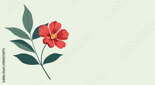 Simple botanical illustration featuring a bright red flower and lush green leaves against a soft pale green backdrop, evoking freshness.