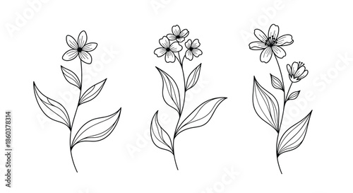 Three elegant hand-drawn floral illustrations featuring delicate flowers and leaves in a minimalist line art style, perfect for botanical designs.