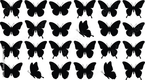 Set of butterfly vector silhouettes, black insect collection showing flight poses, isolated nature animal shapes, spring decoration style for graphic design