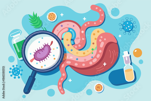 Intestines with bacteria and a magnifier in a clean vector style. Ideal for educational and healthcare concepts focused on gut health and microorganisms.
