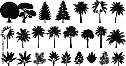 Set of diverse black tree and tropical plant silhouettes, including palm trees, coniferous trees, and foliage for vector illustration, web design, or landscape graphics collection