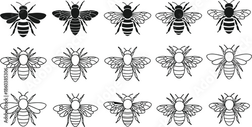 Set of Honey Bee Black Vector Icons, Various Styles: Silhouette, Detailed Monoline Outline, and Solid Fill Bug Graphics, Insect Clipart Collection