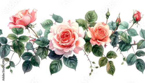 A garland of watercolor roses in various stages of bloom, with leafy foliage