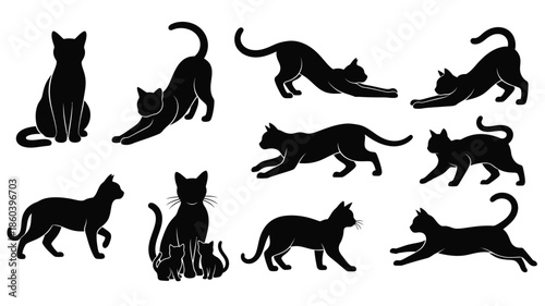 Collection of black cat poses in various dynamic positions silhouette