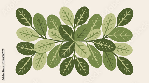 Vibrant green leaves arrangement on beige background