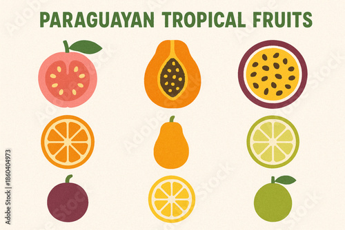 Paraguayan tropical fruit vector icons rugged flat style