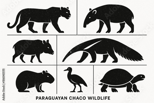 Paraguayan Chaco wildlife vector icons rugged flat style