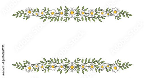 Elegant floral borders made of white daisies and green leaves creating a beautiful frame for invitations and greeting cards.