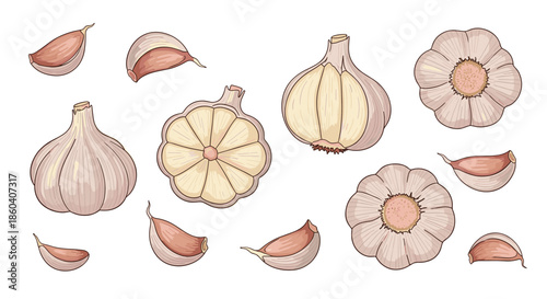 A comprehensive collection of whole garlic bulbs and individual cloves, some peeled and sliced, illustrating a common cooking ingredient.