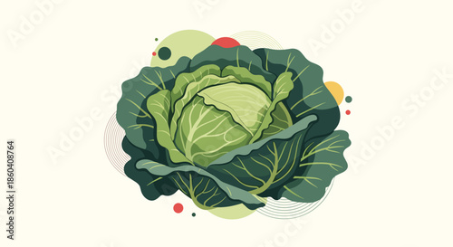 Fresh green cabbage head, beautifully illustrated with abstract colorful shapes, emphasizing its natural, organic beauty and freshness.