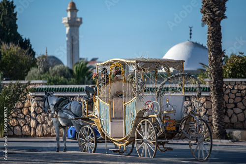 Photography Calèche touristique à Monastir en Tunisie