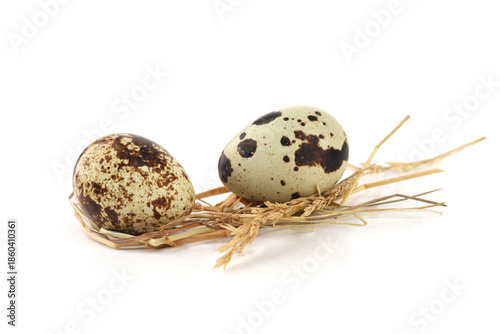 Quail eggs on straw isolated on white background. Natural patterned farm quail eggs in hay.