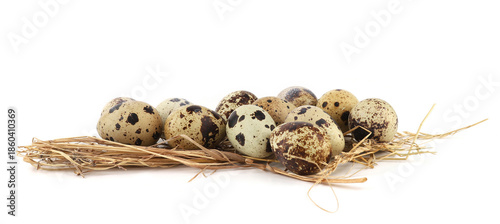 Quail eggs on straw isolated on white background. Natural patterned farm quail eggs in hay.